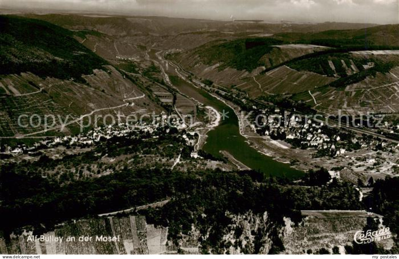 Alf Bullay Mosel Fliegeraufnahme