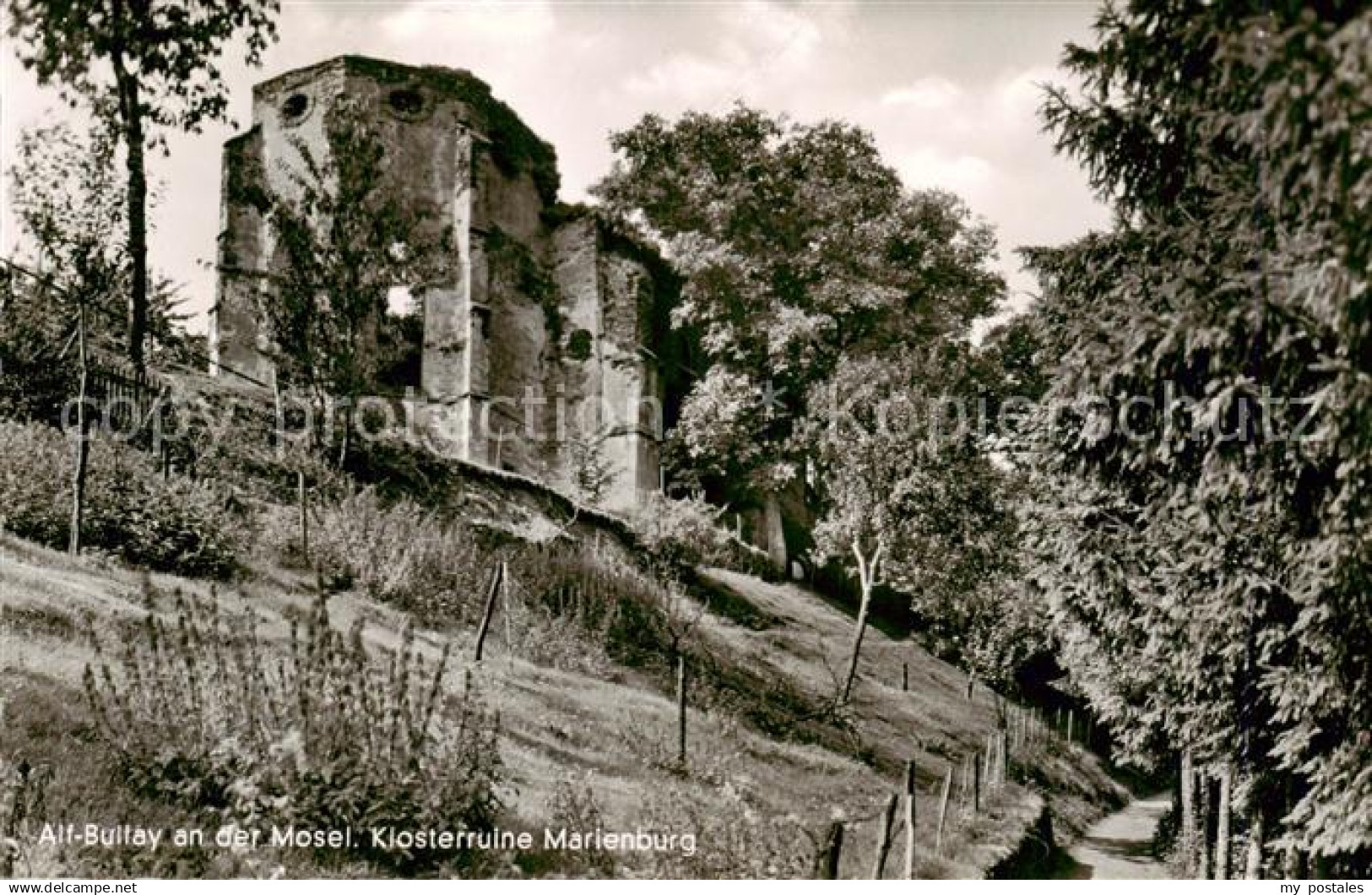 Alf Bullay Mosel Klosterruine Marienburg