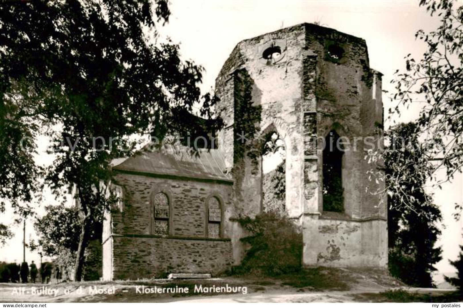 Alf Bullay Mosel Klosterruine Marienburg