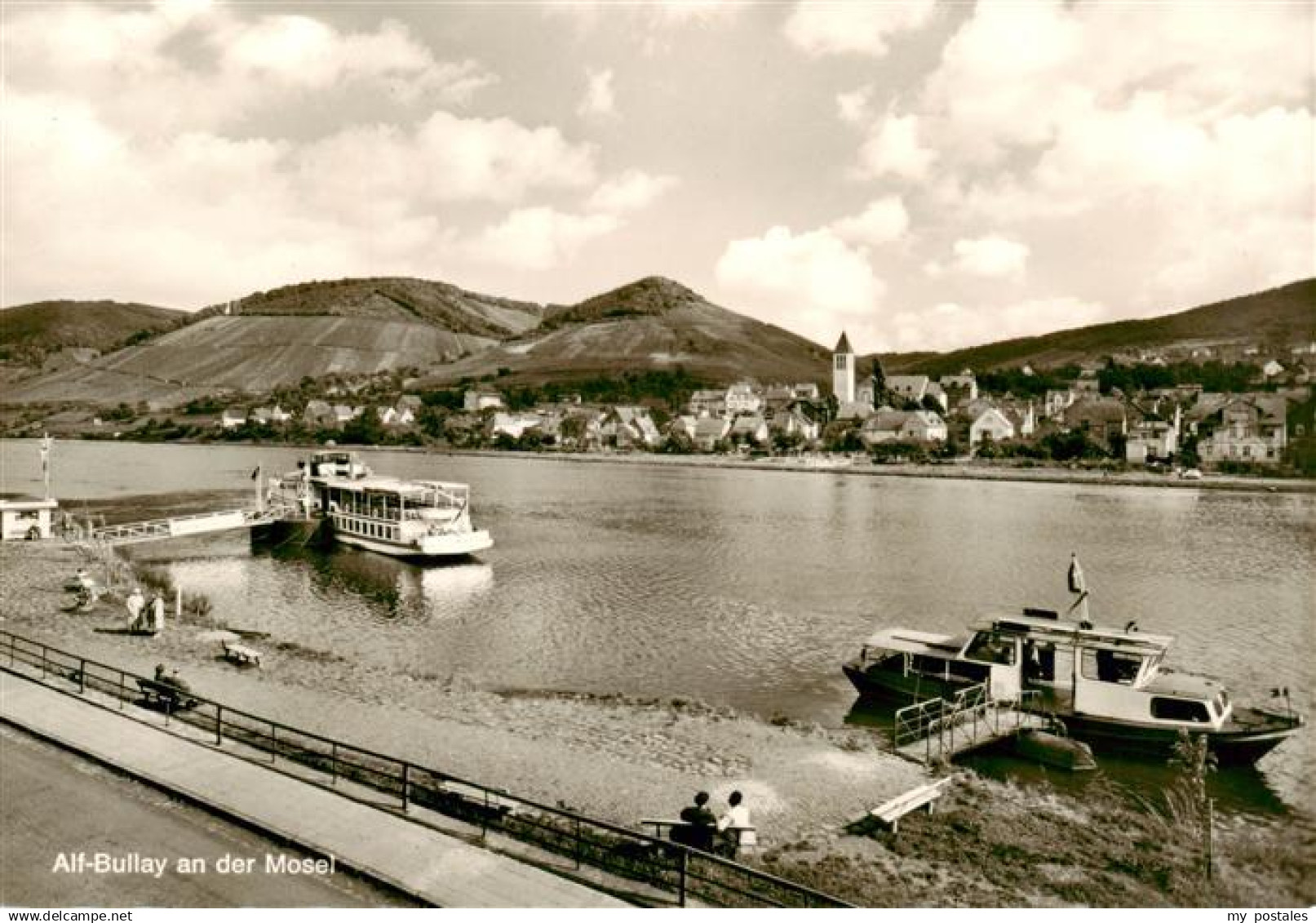 Alf Bullay Mosel Panorama