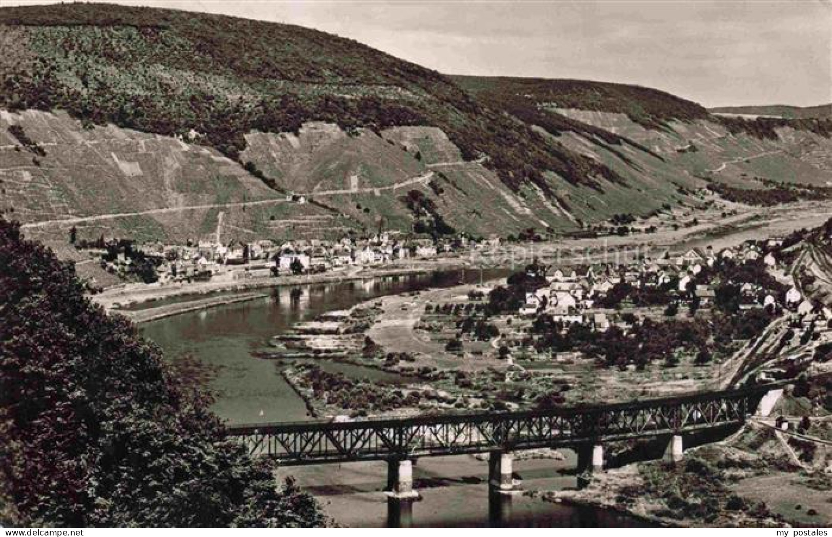 Alf Bullay Mosel Panorama