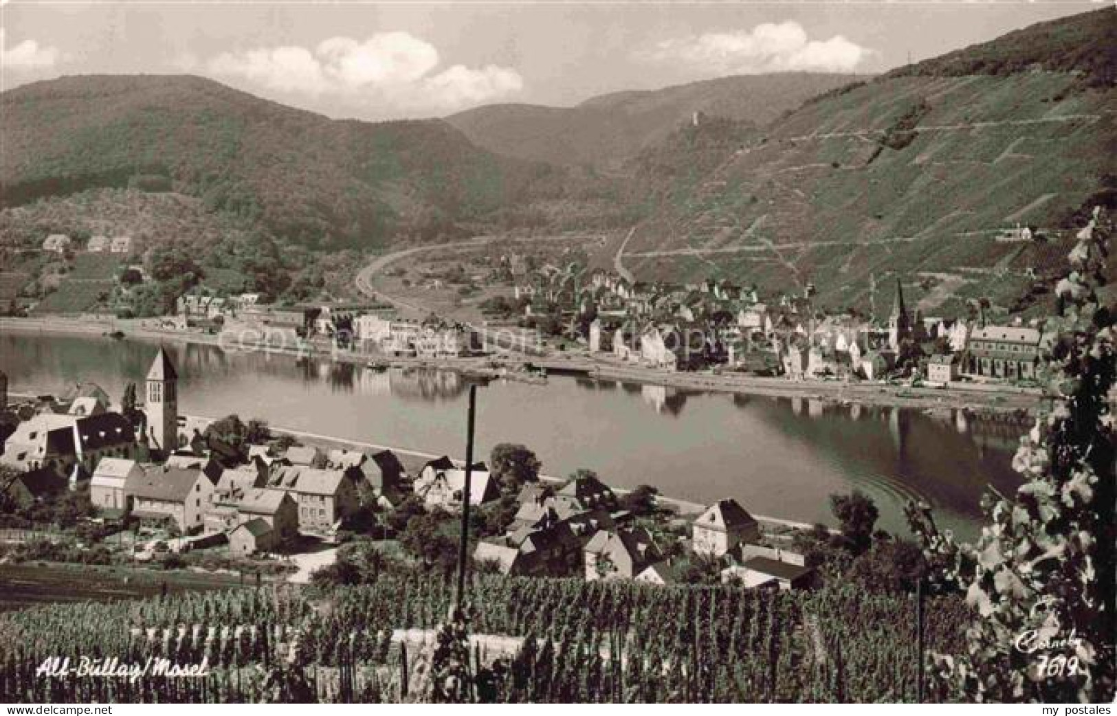 Alf Bullay Mosel Panorama