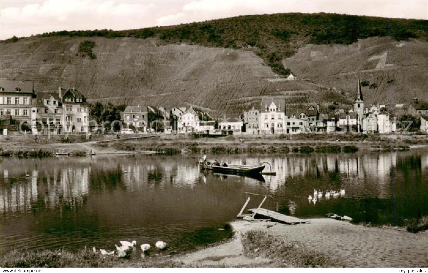 Alf Bullay Mosel Panorama