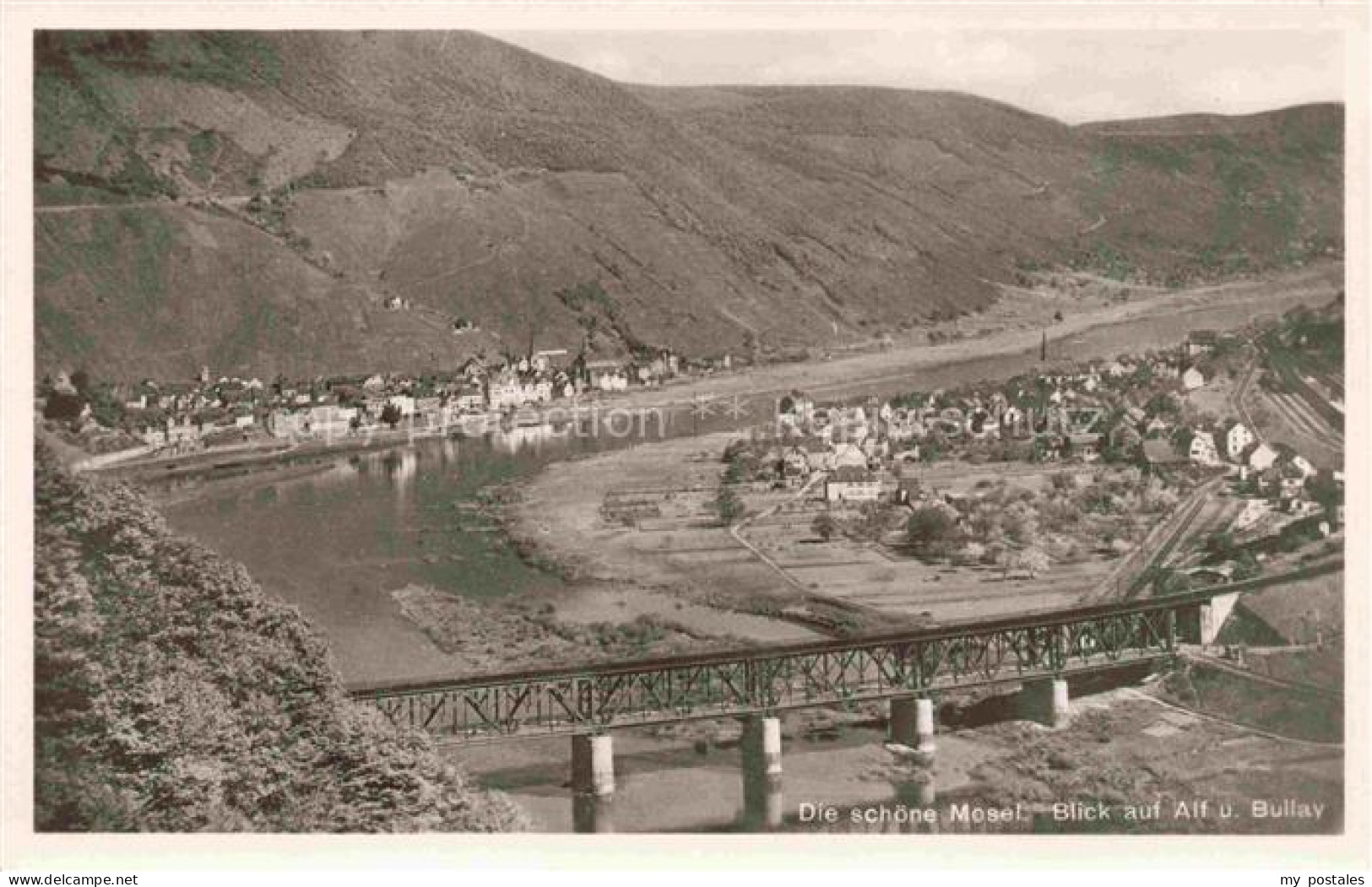 Alf Bullay Mosel Panorama mit Moselbruecke