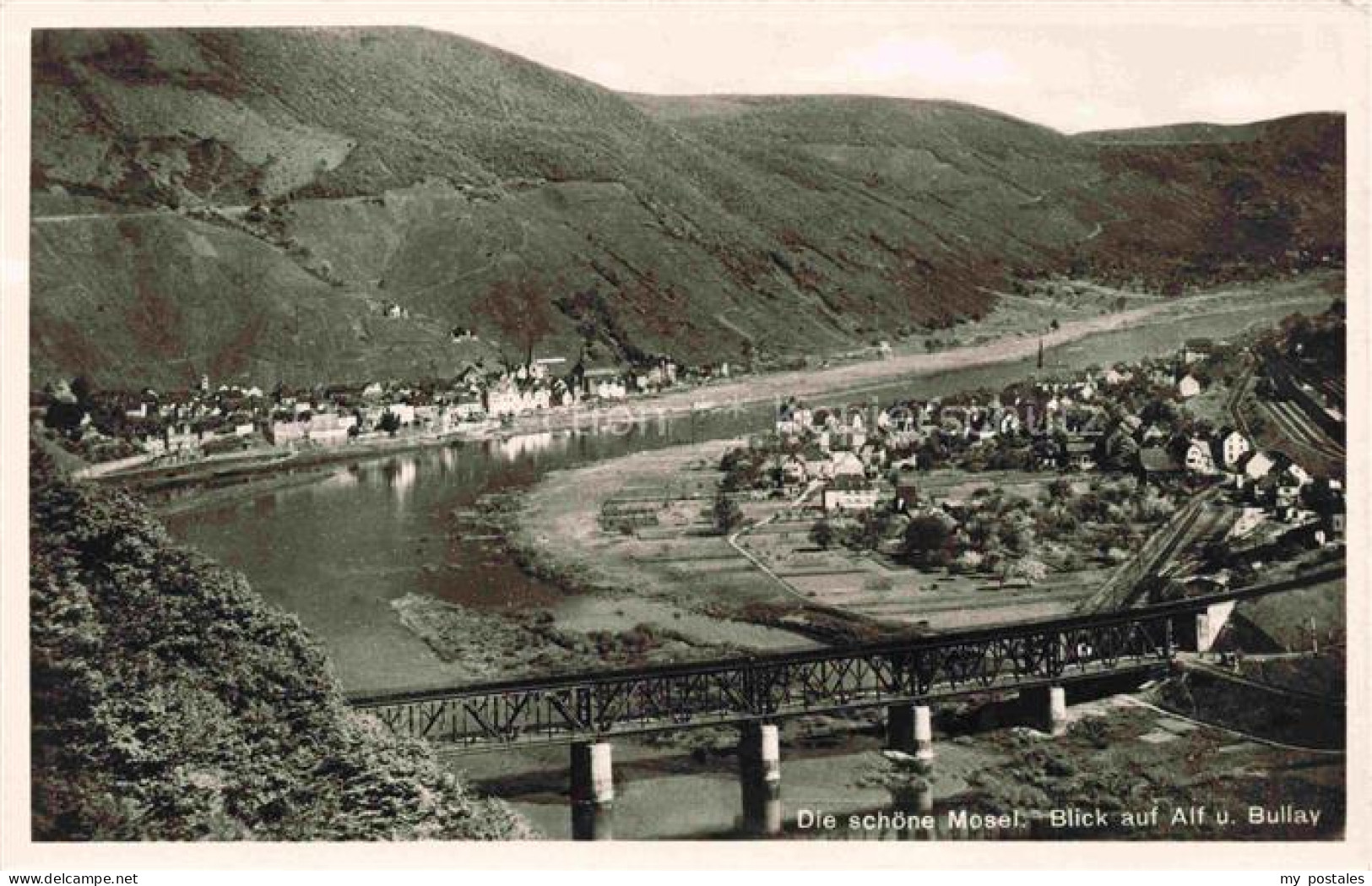 Alf Bullay Mosel Panorama Moseltal