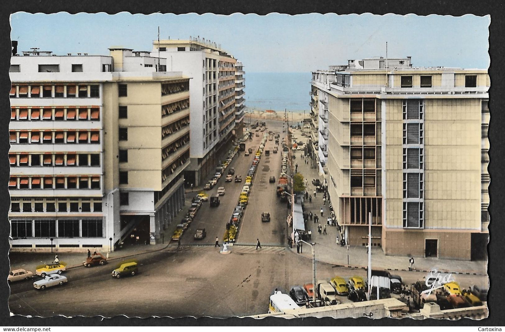 Alger Avenue du 8 Novembre
