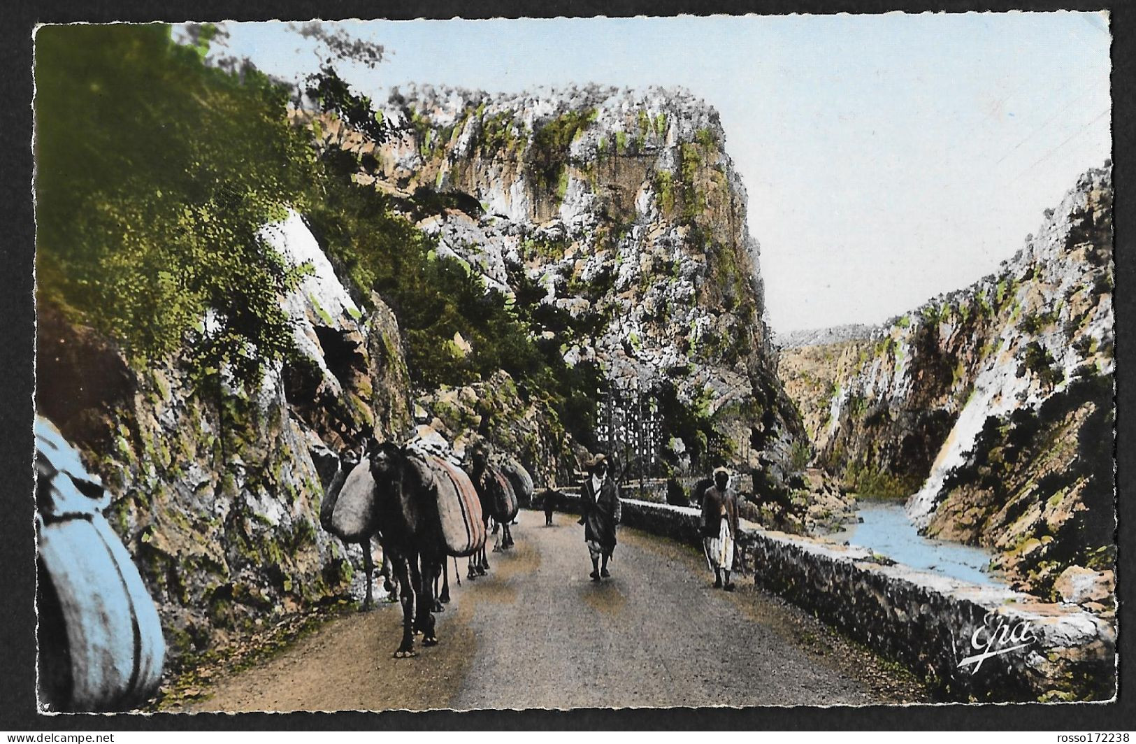 Alger Caravane dans les Gorges postcard not used