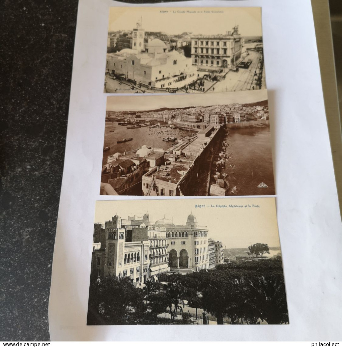 Alger // Groupe 7 diff. CPA 19??