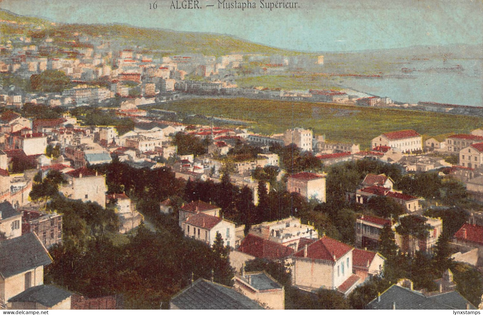 Algeria Alger Algiers Mustapha Superieur Panorama vintage postcard