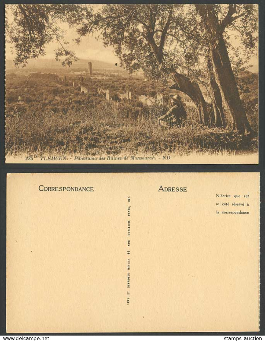 Algeria Old Postcard TLEMCEN Panorama des Ruines de Mansourah Ruins Mosque Walls