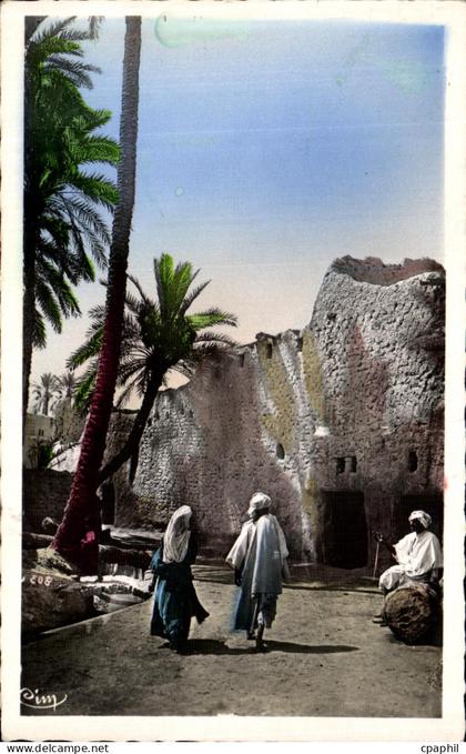 CPA L Afrique Un Paysage du sud