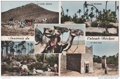 COLOMB BECHAR - Souvenir de Colomb Béchar