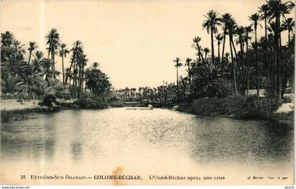 CPA ALGERIA COLOMB-BÉCHAR-L'Oued Béchar apres une crue (238660)