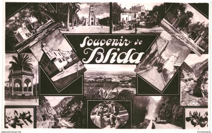 CPA Carte postale Algérie Blida Souvenir de Blida Multi vues  VM91310