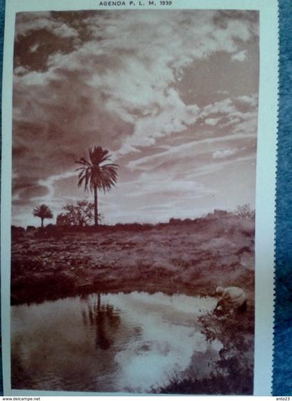 Afrique > Algérie > Villes > Autres villes  m'sila lever du soleil  issue agenda plm 1930