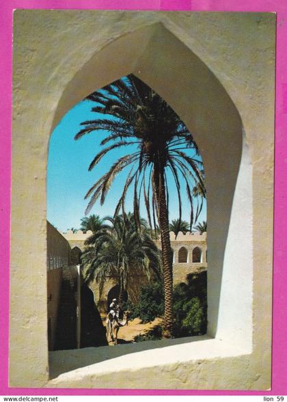 323969 / Algeria > (El Meniaa / El Goléa) Picturesque View Islamic/Moorish arch palm tree man riding a camel PC M241