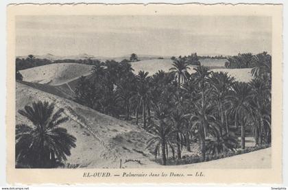 El-Oued - Palmeraies Dans Les Dunes