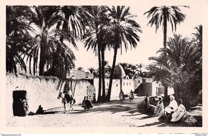 ALGERIE GHARDAIA OASIS DE GHARDAIA