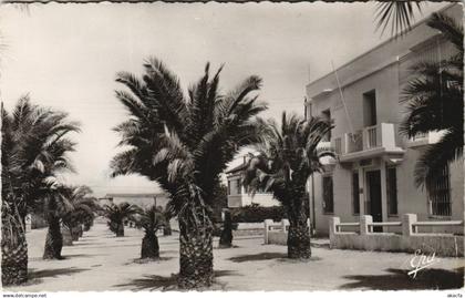 CPA ALGERIA GUELMA Rue Zama (1089389)