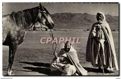Algerie CPA Scenes et types Type d'arabe