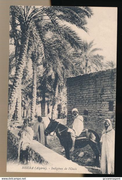 BISKRA    INDIGENES DE L'OASIS