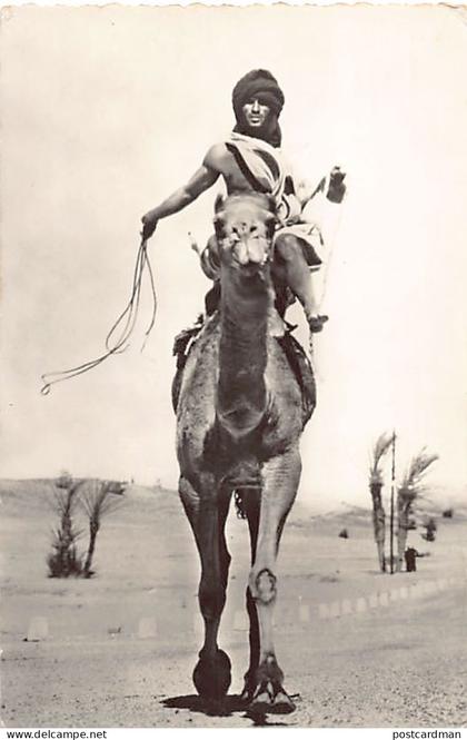 Algérie - TINDOUF Sahara Occidental - Nomade et sa monture - Photo Jean Manuel - Ed. Piget 6