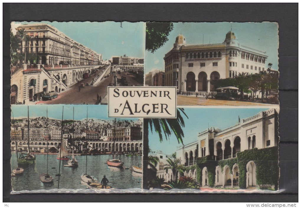 Algerie - Alger - " Souvenir d'Alger "