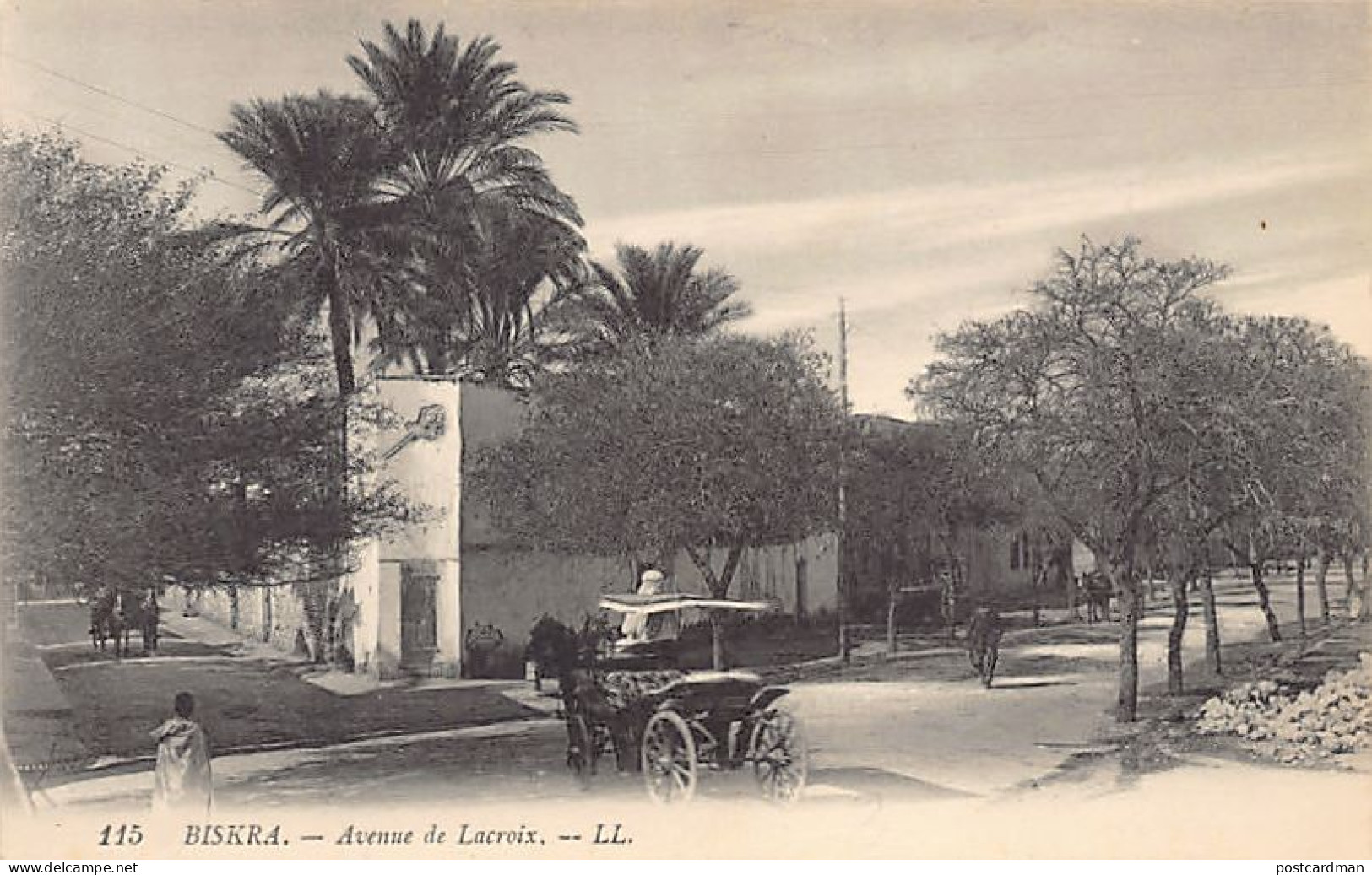 Algérie - BISKRA - Avenue de Lacroix