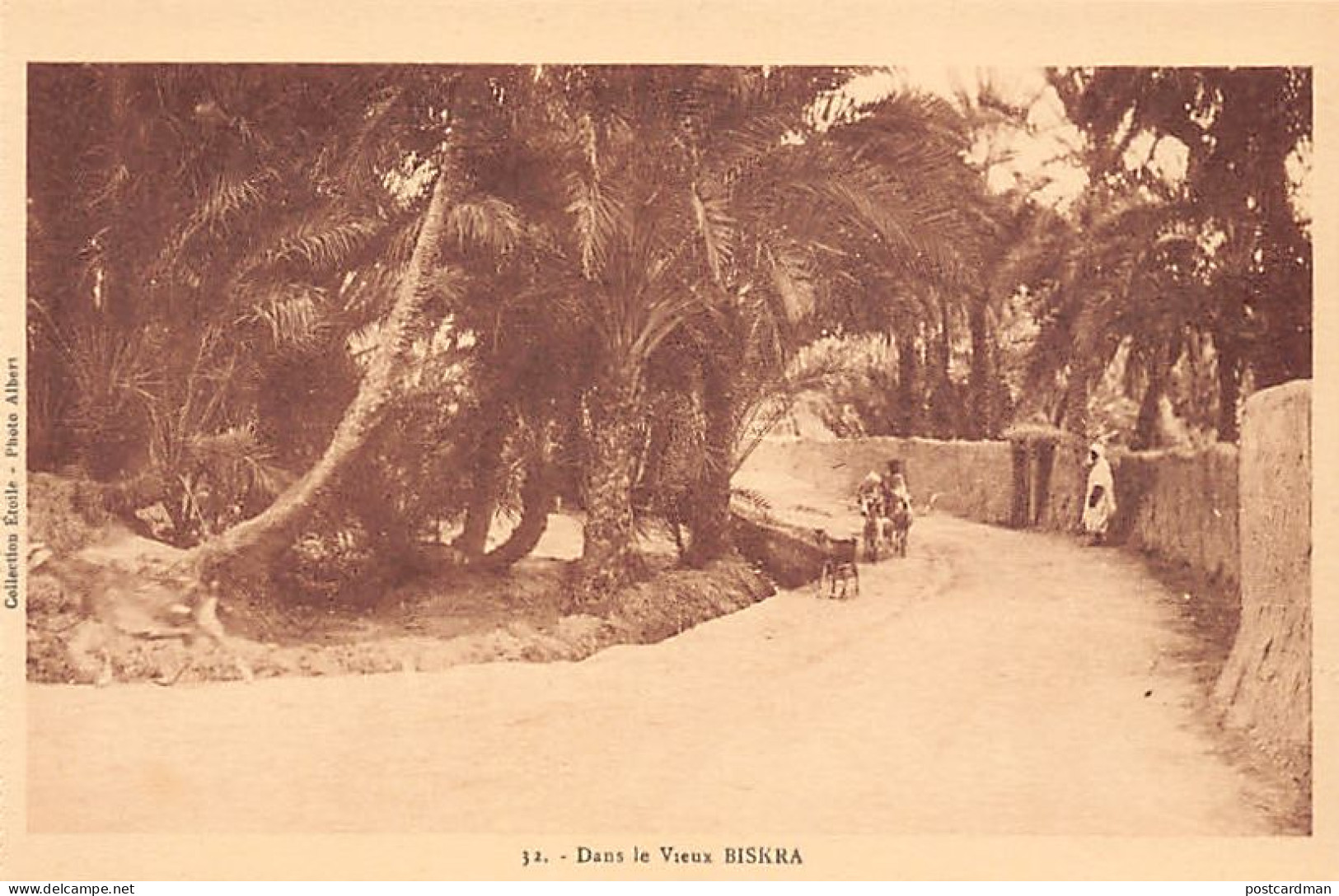Algérie - BISKRA - Dans le Vieux Biskra - Ed. Ets Photo Albert - Collection Étoile 32