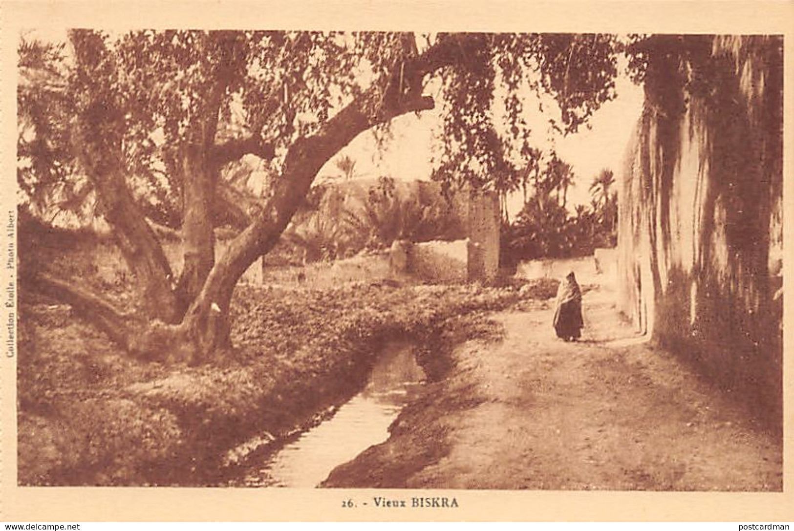 Algérie - BISKRA - Le Vieux Biskra - Ed. Ets Photo Albert - Collection Étoile 26