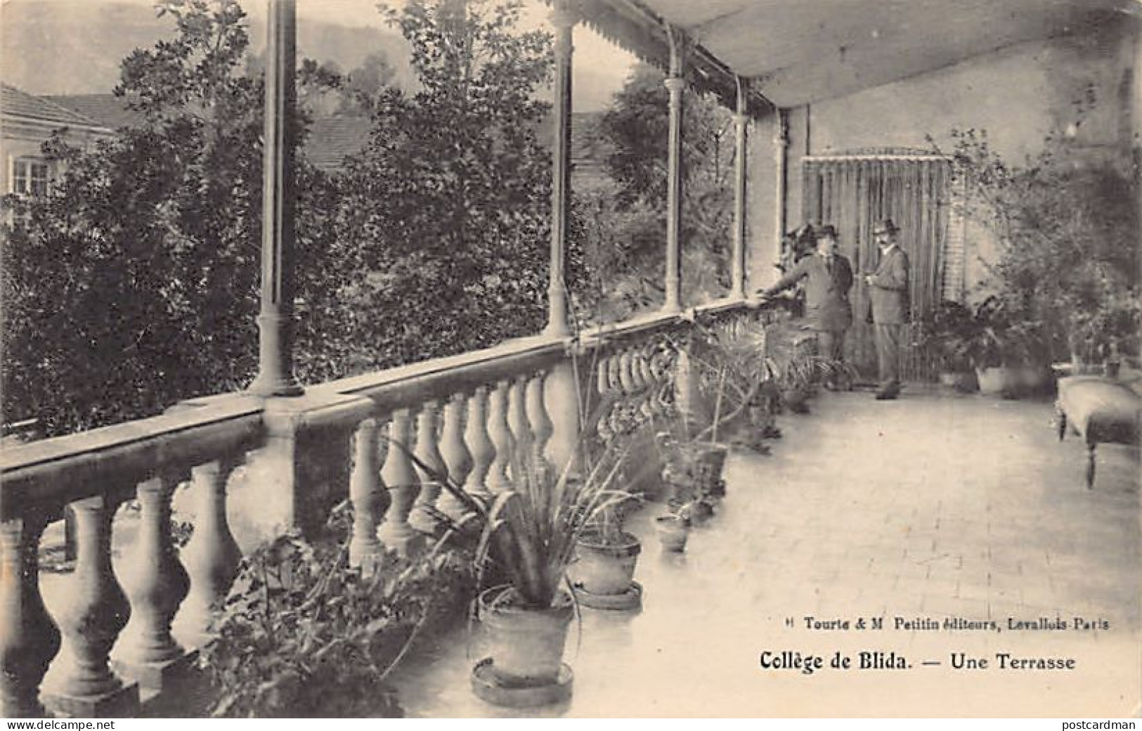 Algérie - BLIDA - Collège de Blida - Une Terrasse