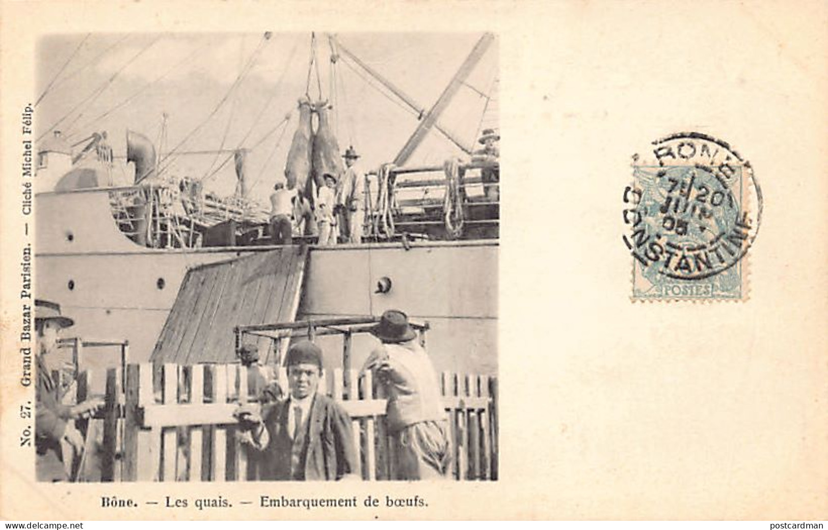 Algérie - BONE Annaba - Les Quais - Embarquement de bœufs