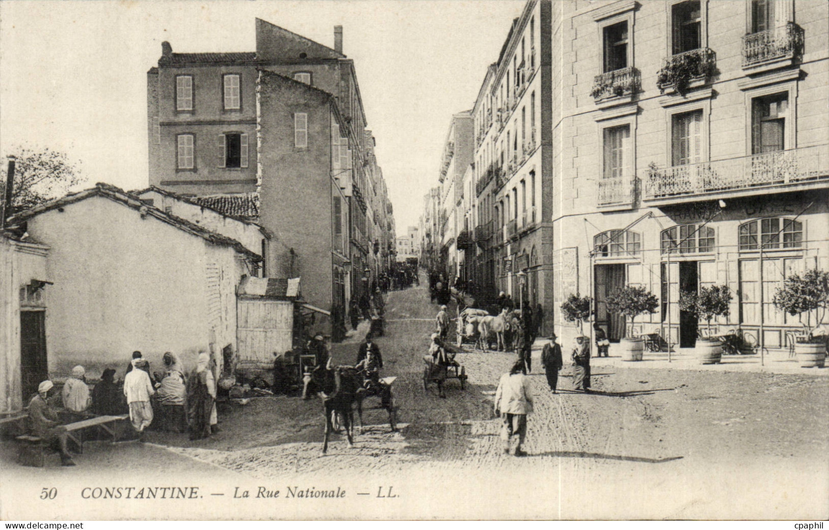 Algerie Constantine CPA La rue nationale