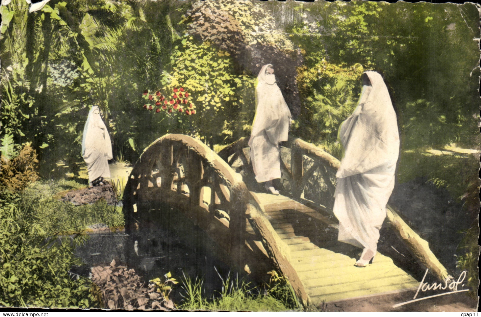 Algerie CPA Scenes et types Mauresques Femmes