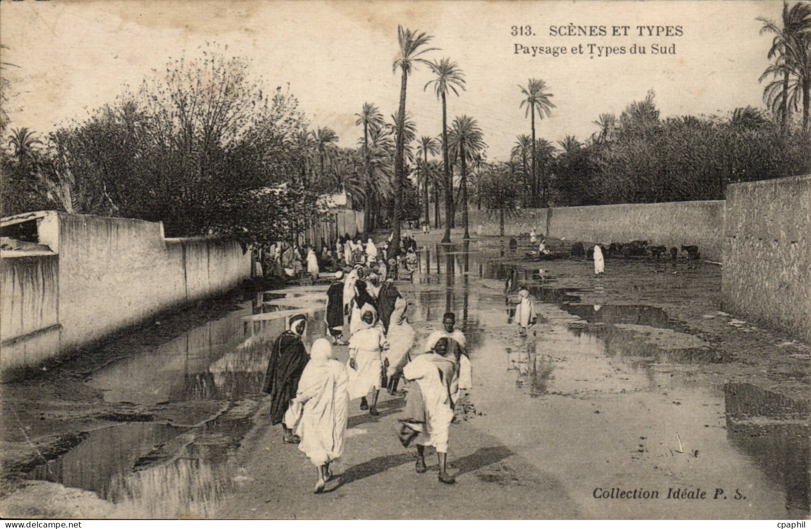 Algerie CPA Scenes et types Paysage et types du sud