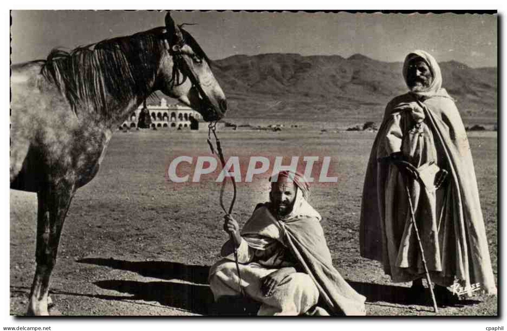 Algerie CPA Scenes et types Type d'arabe