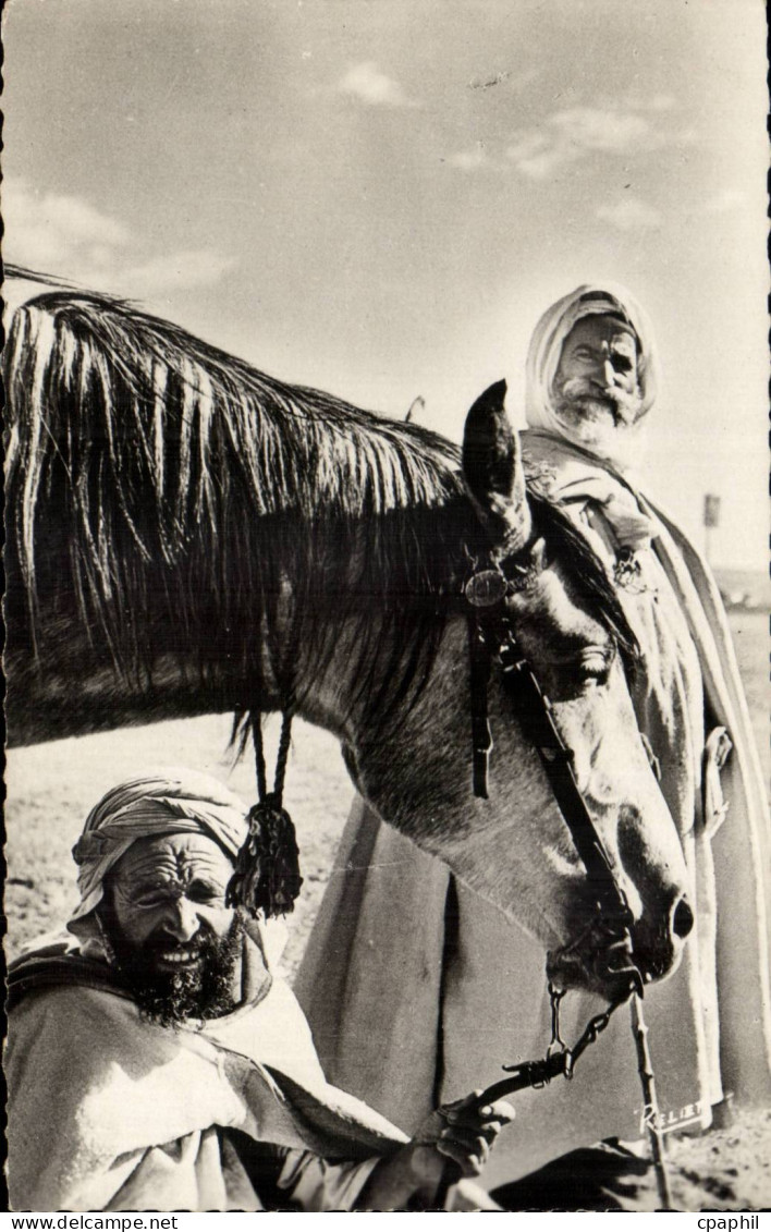 Algerie CPA Scenes et types Type d'arabe