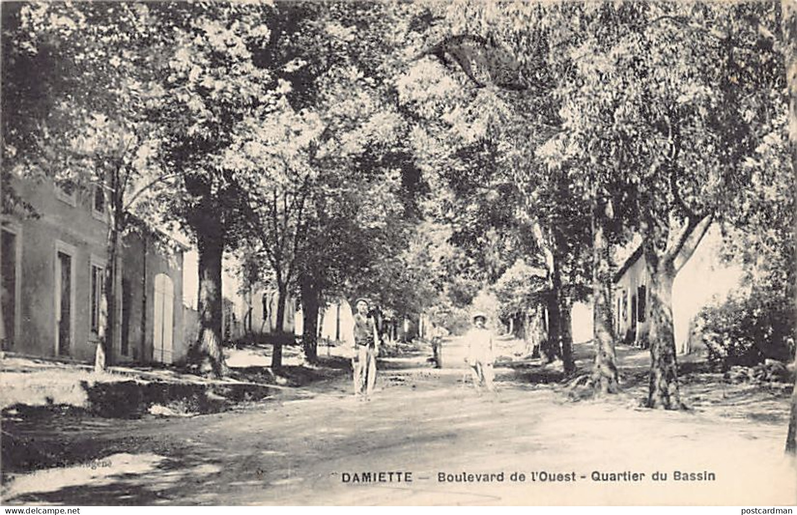 Algérie - DAMIETTE Aïn Dhab - Boulevard de l'Ouest - Quartier du bassin - Ed. inconnu