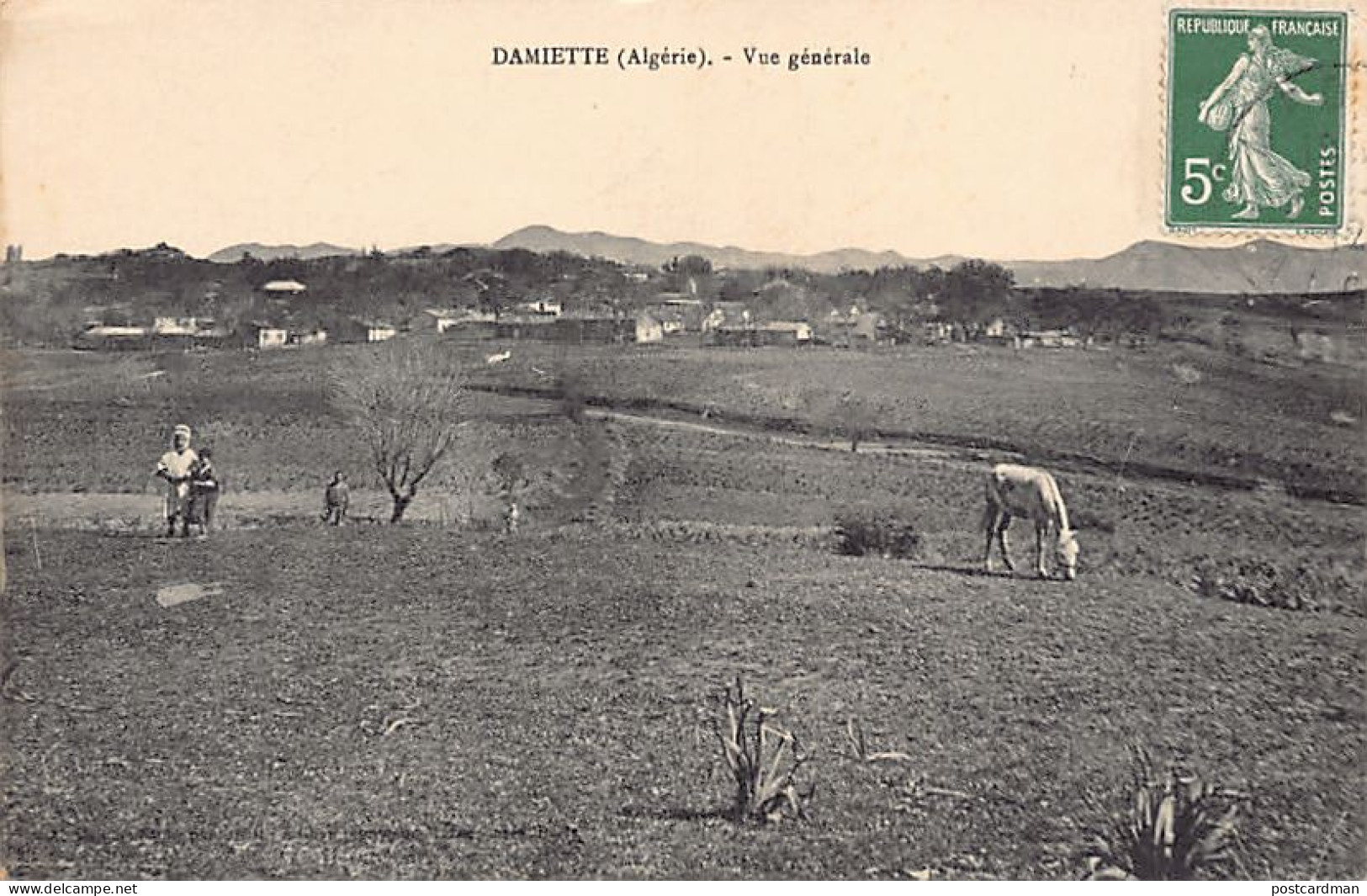 Algérie - DAMIETTE Aïn Dhab - Vue générale - Ed. inconnu
