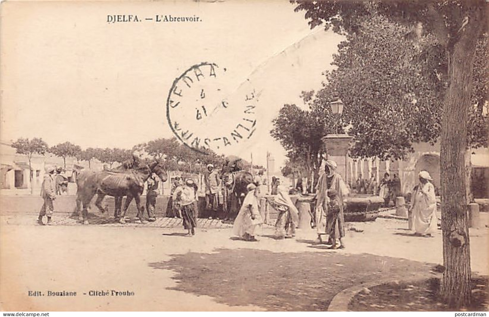 Algérie - DJELFA - L'abreuvoir