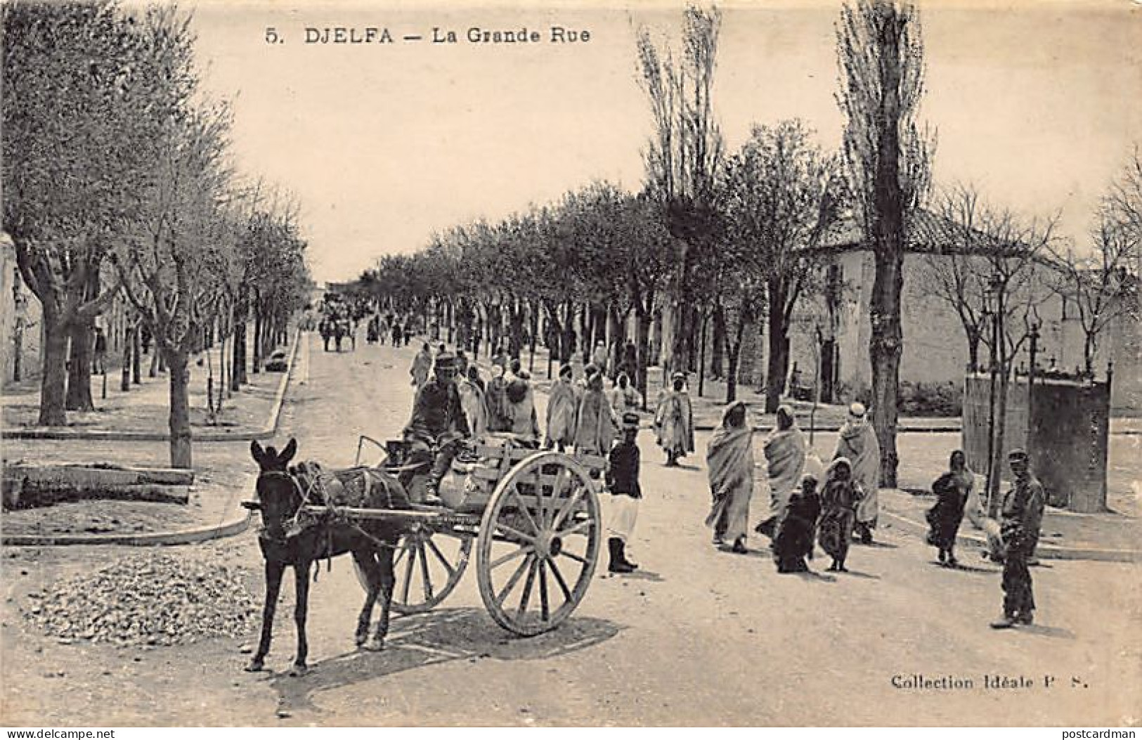 Algérie - DJELFA - La Grande Rue