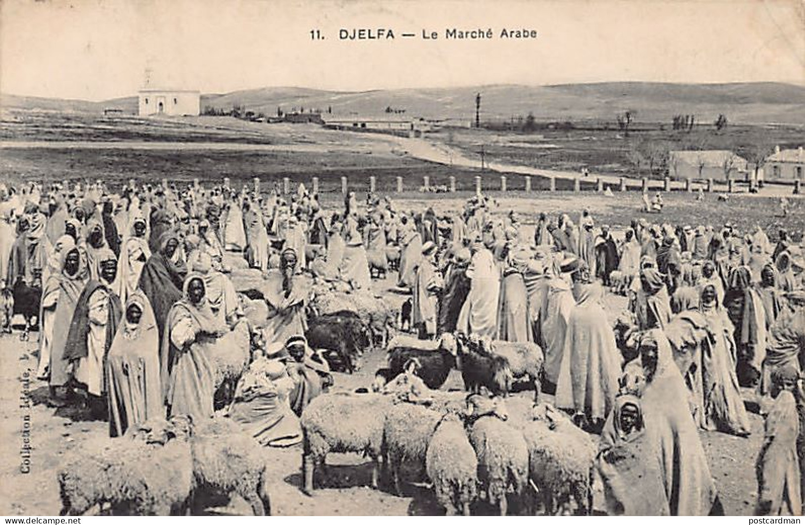 Algérie - DJELFA - Le Marché arabe