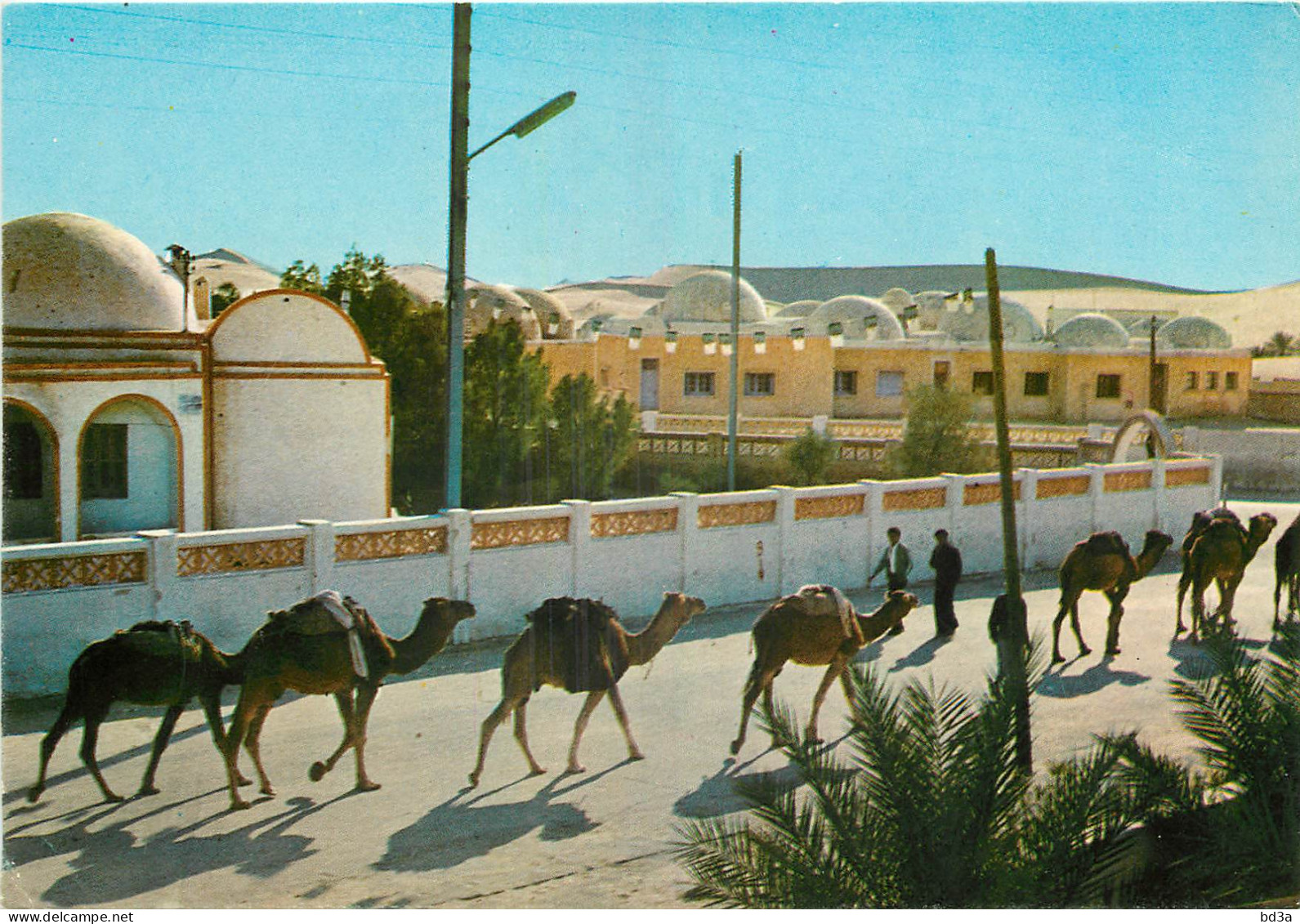 ALGERIE  EL OUED