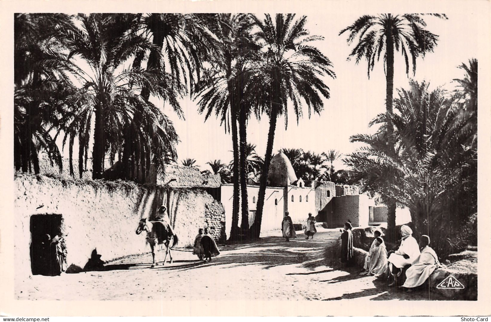 ALGERIE GHARDAIA OASIS DE GHARDAIA