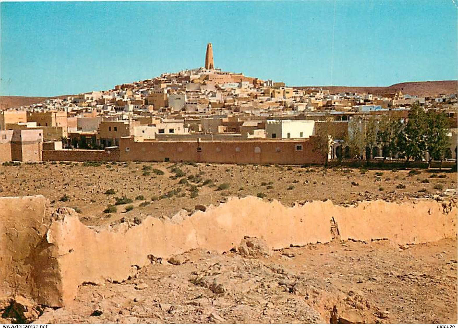 Algérie - Ghardaia - Vue Générale - CPM - Voir Scans Recto-Verso