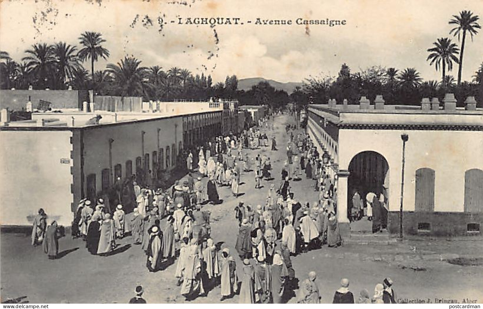 Algérie - LAGHOUAT - Avenue Cassaigne