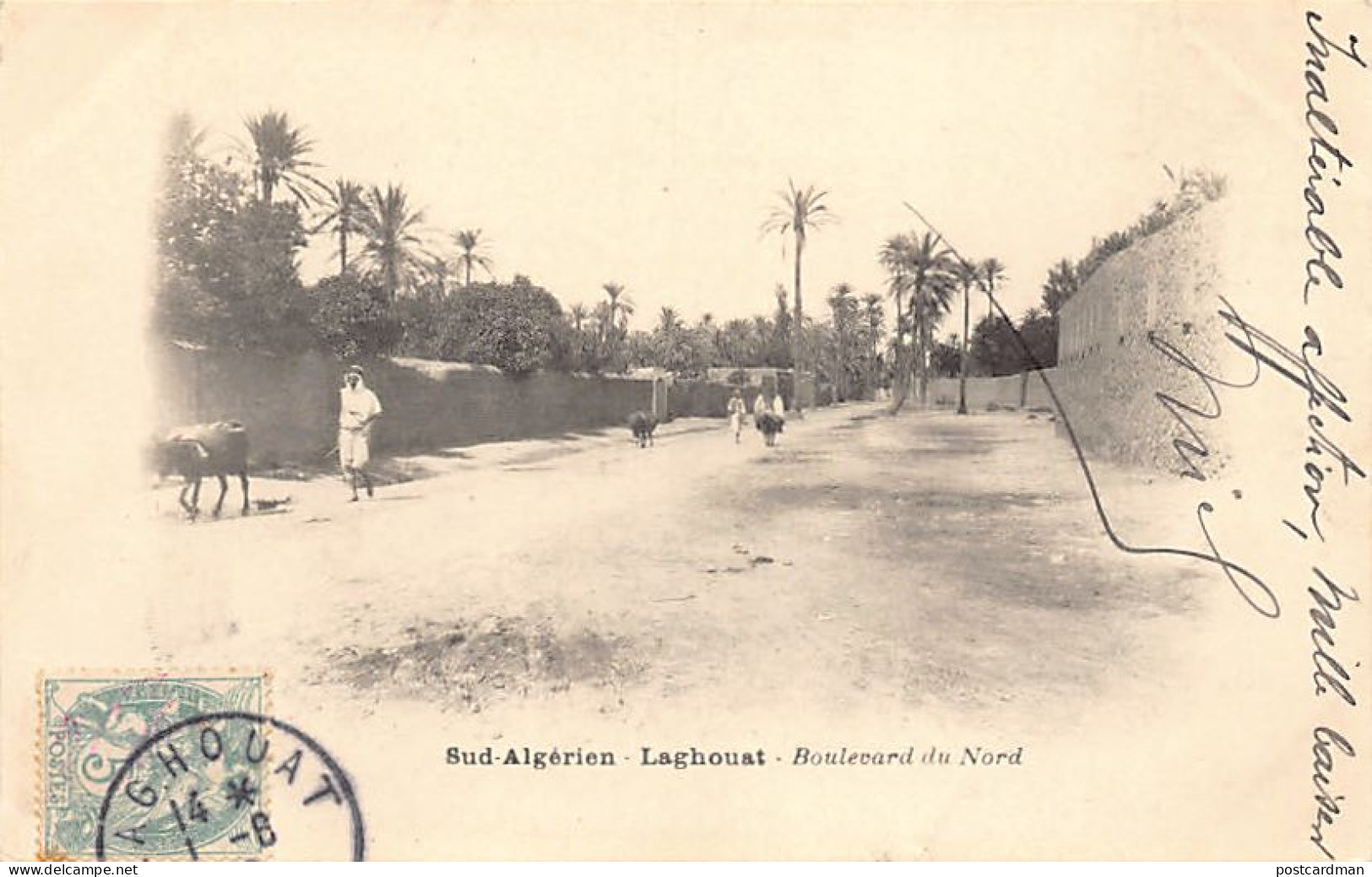 Algérie - LAGHOUAT - Boulevard du Nord - Ed. J. Geiser