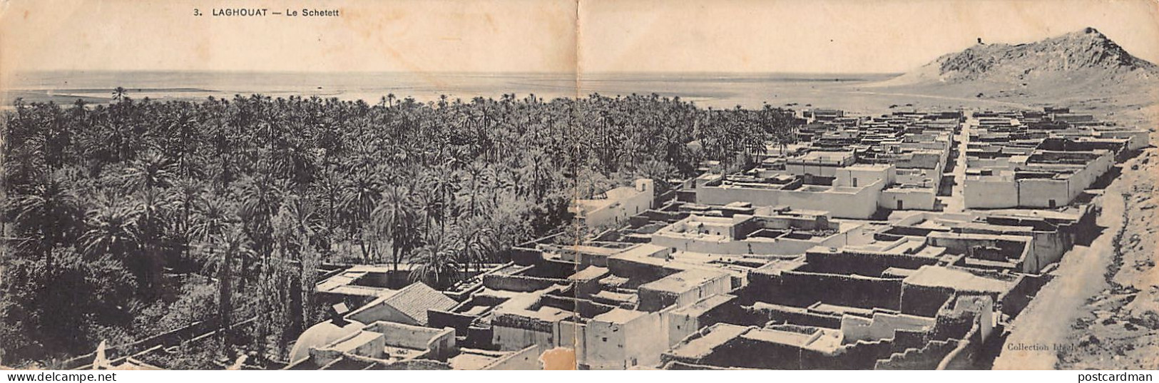 Algérie - LAGHOUAT - Le Schetett - CARTE PANORAMIQUE DOUBLE