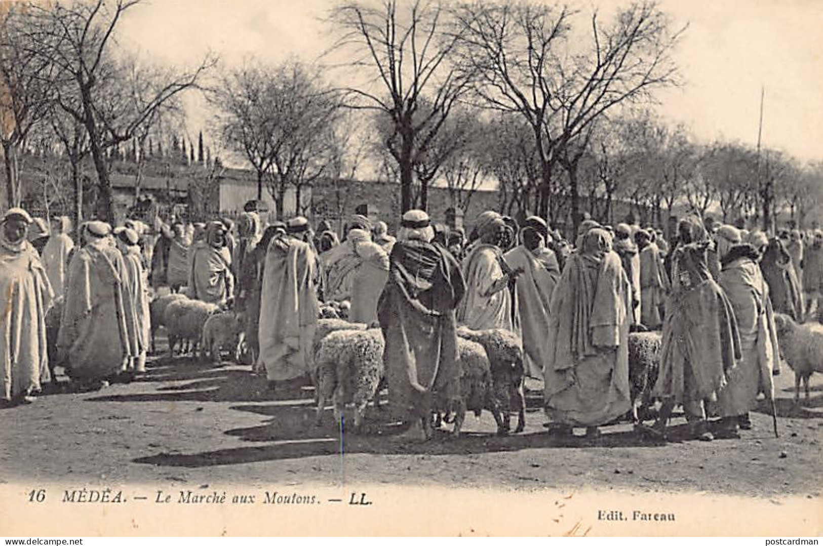 Algérie - MÉDÉA - Le Marché aux Moutons
