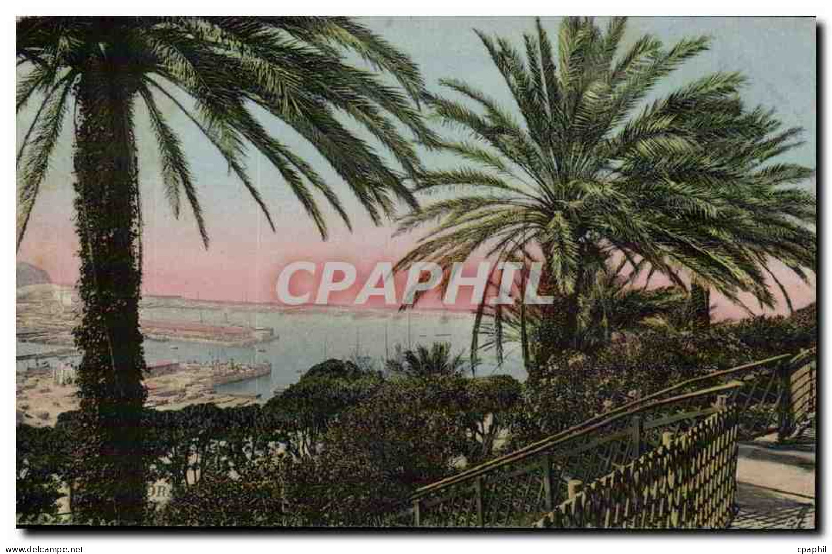 Algerie Oran CPA Palmiers